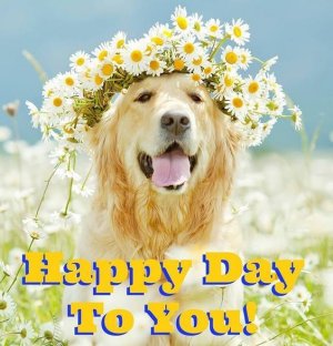 271375-Happy-Day-To-You.jpg