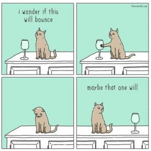 cat joke 3.jpg